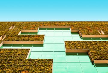 The Future of Australian Startups: Innovation and Growth