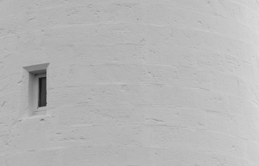 Photo Feedback-Rich Culture