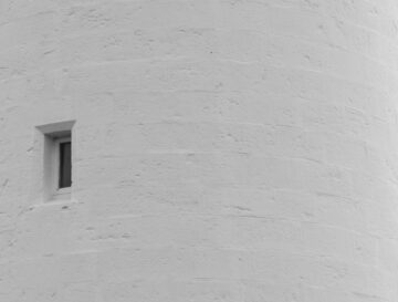 Creating a Feedback-Rich Culture