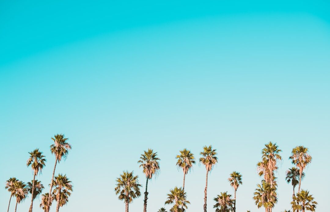 Photo Lead Through Change