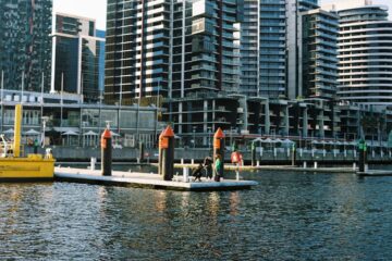 Managing Hybrid Teams in Australia