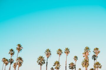 Get Fit Down Under: Gyms Australia